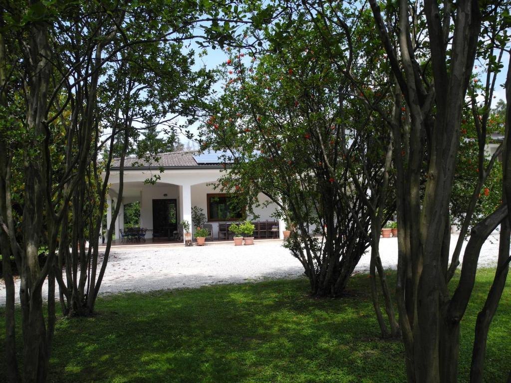 B&B Villa Miani Silea Bagian luar foto